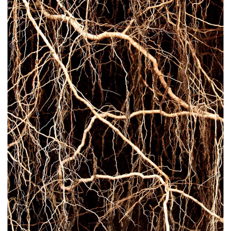 Yodeyma metal sport perfumed water for men 100ml