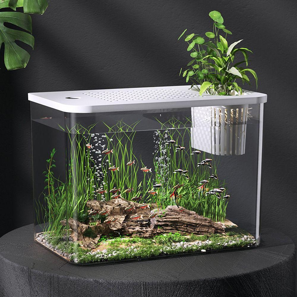 Small Fish Tank with Lid Betta Aquarium Tank Creative Hydroponic Fish Bowls  For Home Decorative