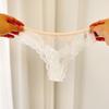 Low Waist Lace Panties Thong Mesh Lace Briefs Sweet Underwear for Women  Lady