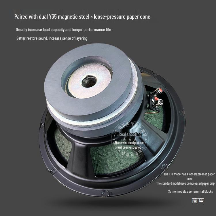High Power Dual Magnet Woofer for 8, 10, 12-inch Karaoke Speaker Box