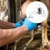 Stainless Steel Manual Milker Milking Machine Simple Operations Milking Device for Small Scale Milk Production