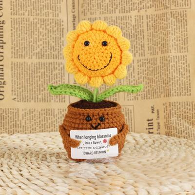 Crocheted Wool Doll Potted Plants, Creative Potted Plants, Cute Ornaments, Home Decoration, Handicrafts, Gifts