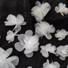 10Pcs Flower Embroidered Patch Lace Applique Diy Lace Fabric Trim For Wedding Birthday Party Event Diy Gift Decoration Craft