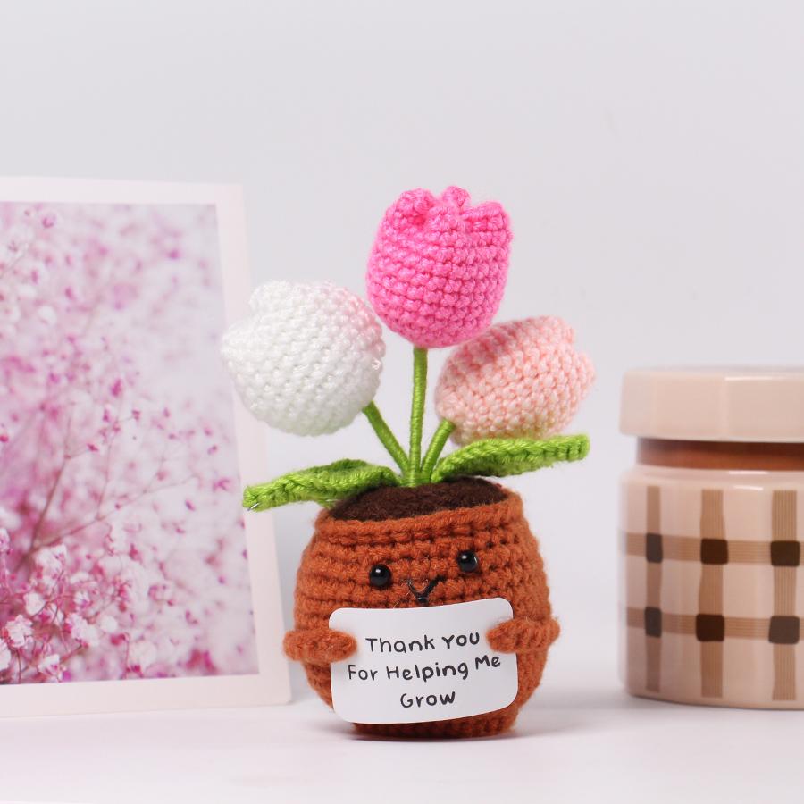 33 Styles Crochet potted tabletop Words of encouragement forget-me-not crochet orange convolia heart-warming ornament