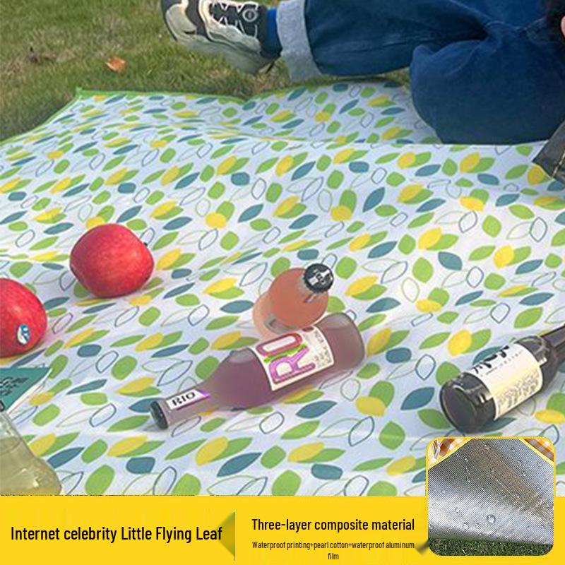 Thickened Portable Outdoor Picnic Mat and Moisture-Proof Cushion