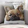 Sofa Pillow Pillowcase Skin-friendly Short Plush Cute Animal Cat Pillow Cover Living Room Cushion Cover Without Core