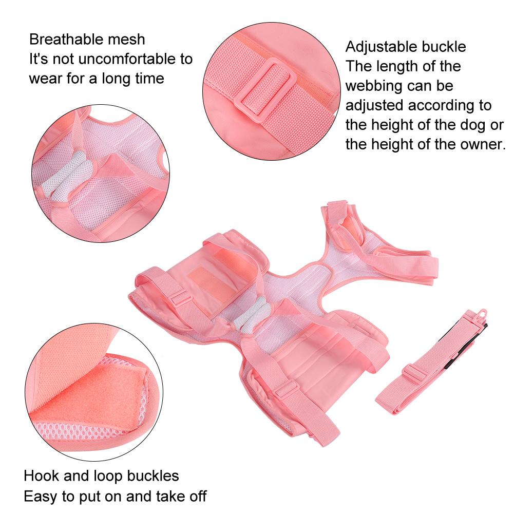 Dog Walking Aid Kit Auxiliary Collar Leash with Lifting Handle Pet Recovery Support for Old and
