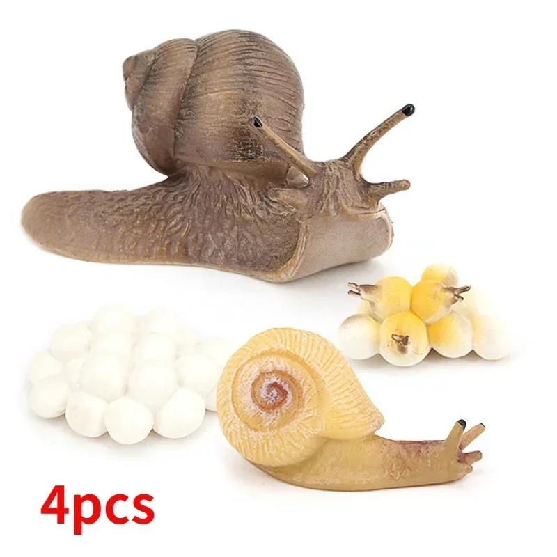 Realistic Snail Growth Cycle Model Animal Model Snail Life Cycle Model Miniature Garden Decoration Collector Educational Toy