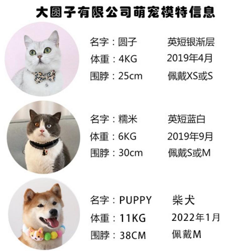 Knitted Striped Pet Christmas Scarf Cats Dogs Rabbits - Warm Thick Wool Neck Warmer Winter Holiday Photoshoot