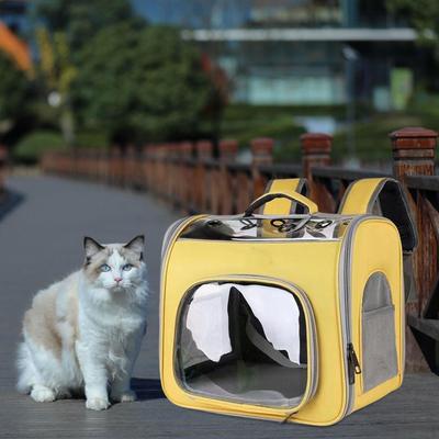 Verstellbare Träger Haustierrucksack für Katzen und kleine Hunde, Ideal für Outdoor-Abenteuer