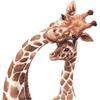 Cartoon Giraffe Family Wall Sticker Nakleyka for Kids Bedroom Nursery Bedroom Detskaya Entrance Hall Decor Decoration
