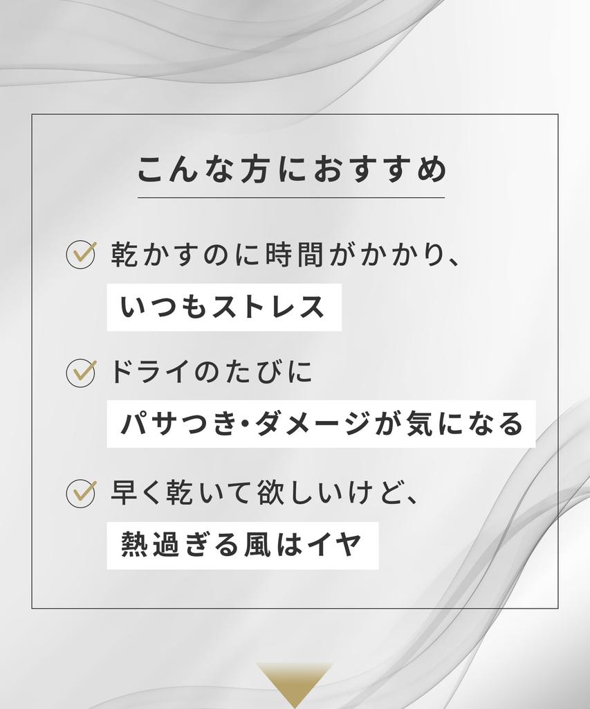 SALONIA Speedy Ion Hair Dryer, High Airflow, Fast Drying, Lightweight, Negative Ion Hair Dryer SL-013AGR, Gray [Amazon.co.jp Exclusive]