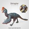 Oviraptor Dinosaur Model Toy Figure - Cretaceous Animal Ornament for Children's Learning and Play