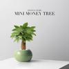 SEE KEAN Money Tree Desktop Potted Plant