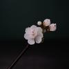 Ancient Style Magnolia Hairpin Artificial Transparent Glass Flower Tassel Hair Stick Wooden Simple Updo Hairpin New Year Gifts