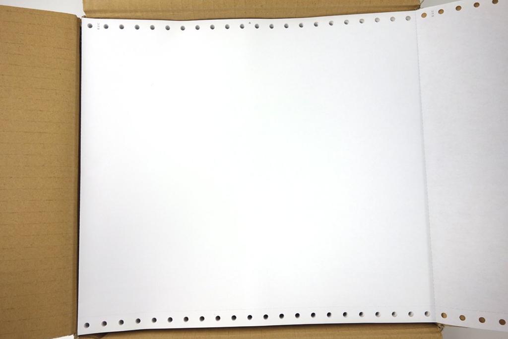 KOKUYO Continuous Slip Paper Blank 10X11 2000 Sheets EC-M5101