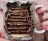 2024 Book Lovers Library Ceramic Coffee Mug Bookshelf Bookshelf Tea Cup