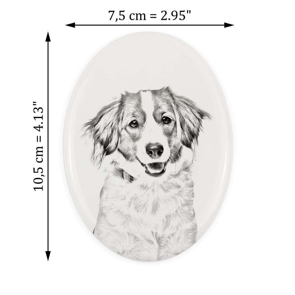 Kooikerhondje - commemorative plaque with a photo of a dog, tombstone with a print, personalized oval plaque from the Art-Dog brand
