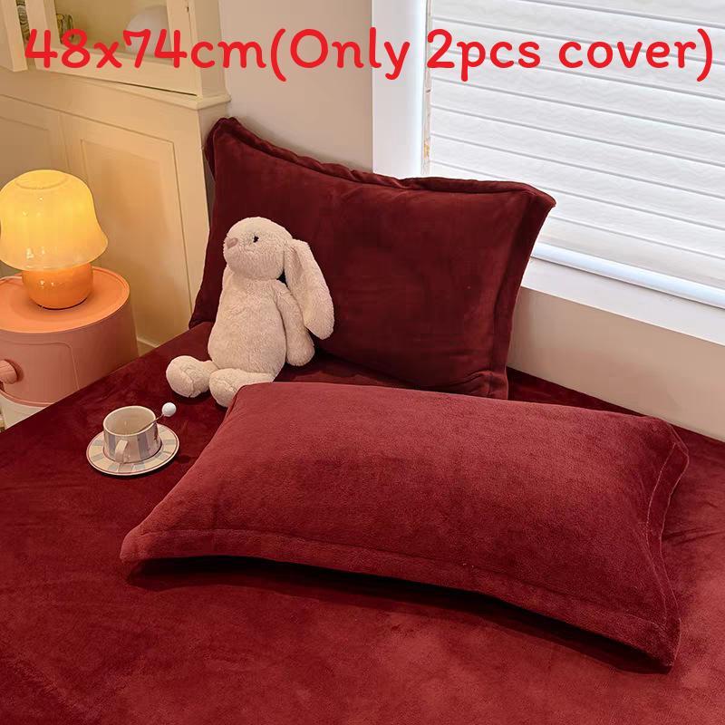 Modern Simplistic Doublesided Milk Velvet Pillowcase With Crystal Fleece For Home Comfort