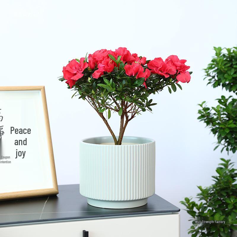 Ceramic Orchid Flower Pot - White Light Luxury, Minimalist Nordic Design for Indoor Living Room