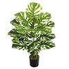 Nordic Style Variegated Monstera: Potted Plant for Home & Garden Decor