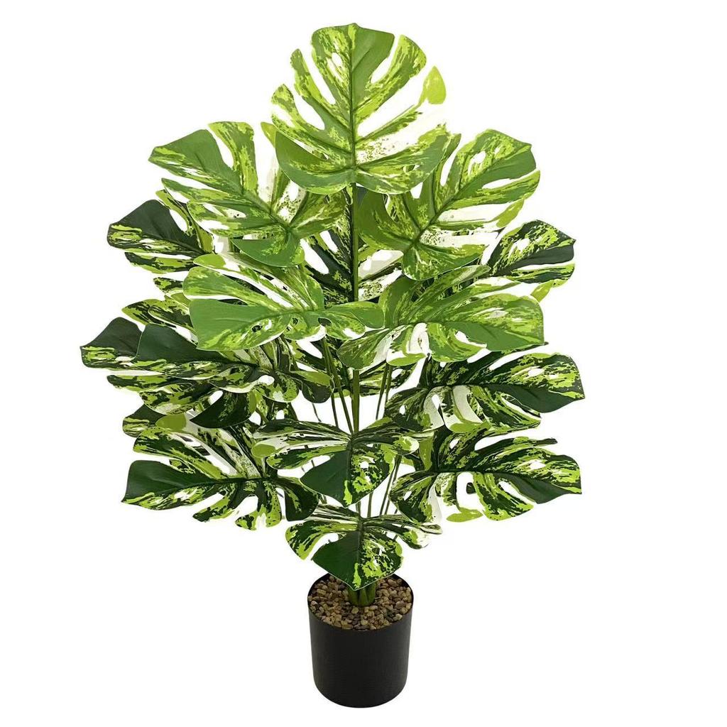 Nordic Style Variegated Monstera: Potted Plant for Home & Garden Decor