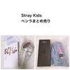 [USED] Stray Kids Penlight Penlight Case