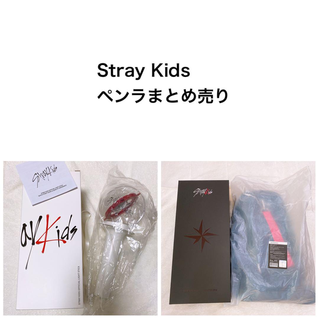 

[Б/У] Stray Kids Лайтстик Чехол для лайтстика