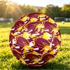 Brisbane Broncos Size 5 Sports Training Ball Shock Absorbing Durable Ball For Match Daily Practice Outdoor Activities