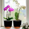 Orchid Pots with Holes for Repotting Flower Pot Plastic Orchid Pot Inner Clear Orchid Planter Self Watering Plant Pot with Injec