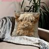 Cute Highland Cow Design 2D Flat-Printed Pillow Cover for Home Decor Sofa Cushion Cover, Home Decoration, 2D Printing