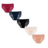Women's Lace Trim Bikini Panties Set of 5 Stretchy Seamless Underwear with Floral Mesh Panels and Soft Fabric for Everyday Comfort