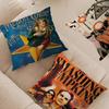 Classic Band The S-smashing P-pumpkins Band Personalized Pillow Dust Cover Bedroom Kids Party Decoration Pillowcase Birthday