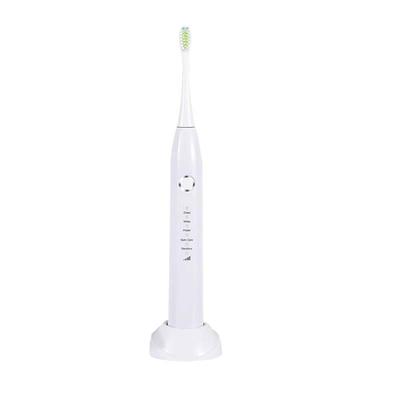 Shangheng SHZH-039 Sonic Electric Toothbrush CN Plug (adapter Included)