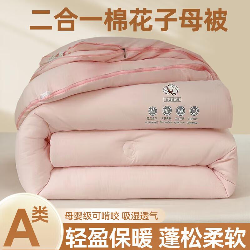 DZQ Thickened Warm 2-in-1 Winter Duvet
