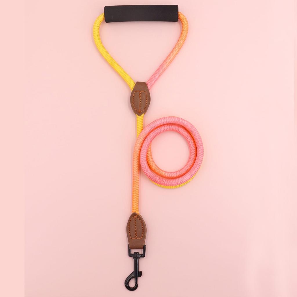 Pet Dog Leash, Gradient Color with Comfortable Padded Handle, Suitable for Small and Medium Dogs Outdoor Use