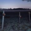 Solar-Powered Flashing Animal Repellent for Wild Boar, Rabbit, Wolf, Deer, and Weasel Deterrence