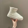 Fashion Female Booties Shoes New In Winter 2024 Ladies Ankle Snow Boots Spring Autumn Hot Large Size Warm Waterproof Non Slip Protective