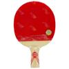 Raquette de tennis de table DHS Gold Ma Long 02 Porte-plume
