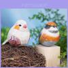Wooden Bird Decor With Natural Finish For Office And Home Gift Ideas