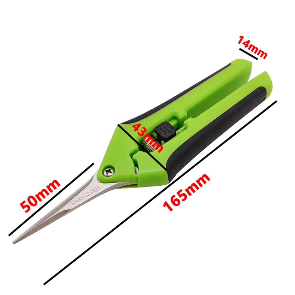1Pc Stainless Steel Branch Pruning Shears Garden Orchard Plant Flower Fruit Tree Branch Grafting Scissors Straight and Bend Head