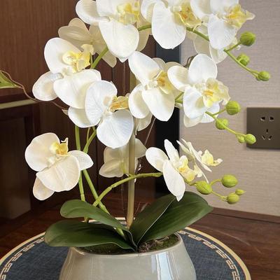 Phalaenopsis Artificial Flowers In Ceramic Pot - Ideal for Living Room or Dining Table Decor