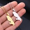Stainless Steel Martinique Map Pendant Necklace Women Men Fashion Jewelry Silver/Gold Color Patriotism Country Choker