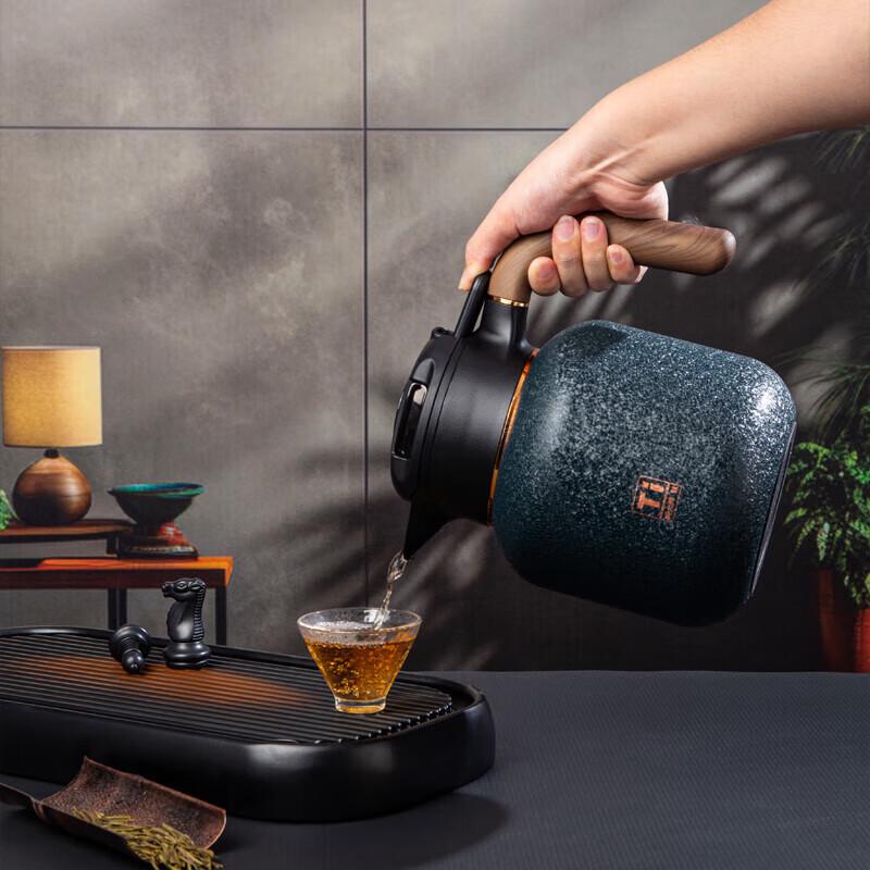 MENDASHI Pure Titanium Insulated Tea Kettle