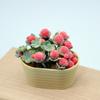 1/12 Dollhouse Simulation Flower Plant Potted Dollhouse Mini Home Decoration Dolls House Micro Landscape Plant Accessories