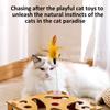 Funny Composite Board Cats Play Set with Track System 3 Balls Teaser Wand for Safe and Healths Pet Fun