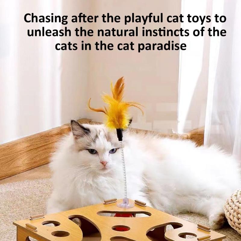 Funny Composite Board Cats Play Set with Track System 3 Balls Teaser Wand for Safe and Healths Pet Fun