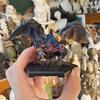 New Monster World Anime Action Figure Hunter Plus All Dragon Rathalos Nergigante Nargacuga Zinogre Kushala Figure Model Toy Gift