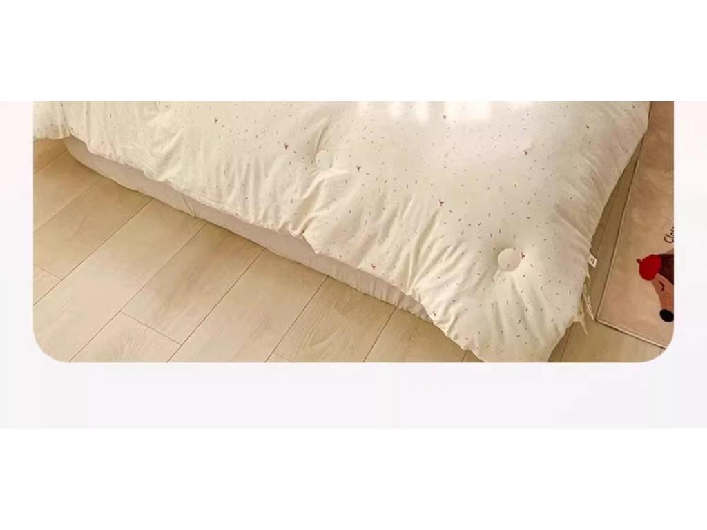 Washable Thick Cotton Quilt - Warm, Universal for All Seasons, 2025 Spring/Winter. Perfect for Students' Single Beds.