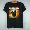 Vintage 2010 Green Day T-shirt